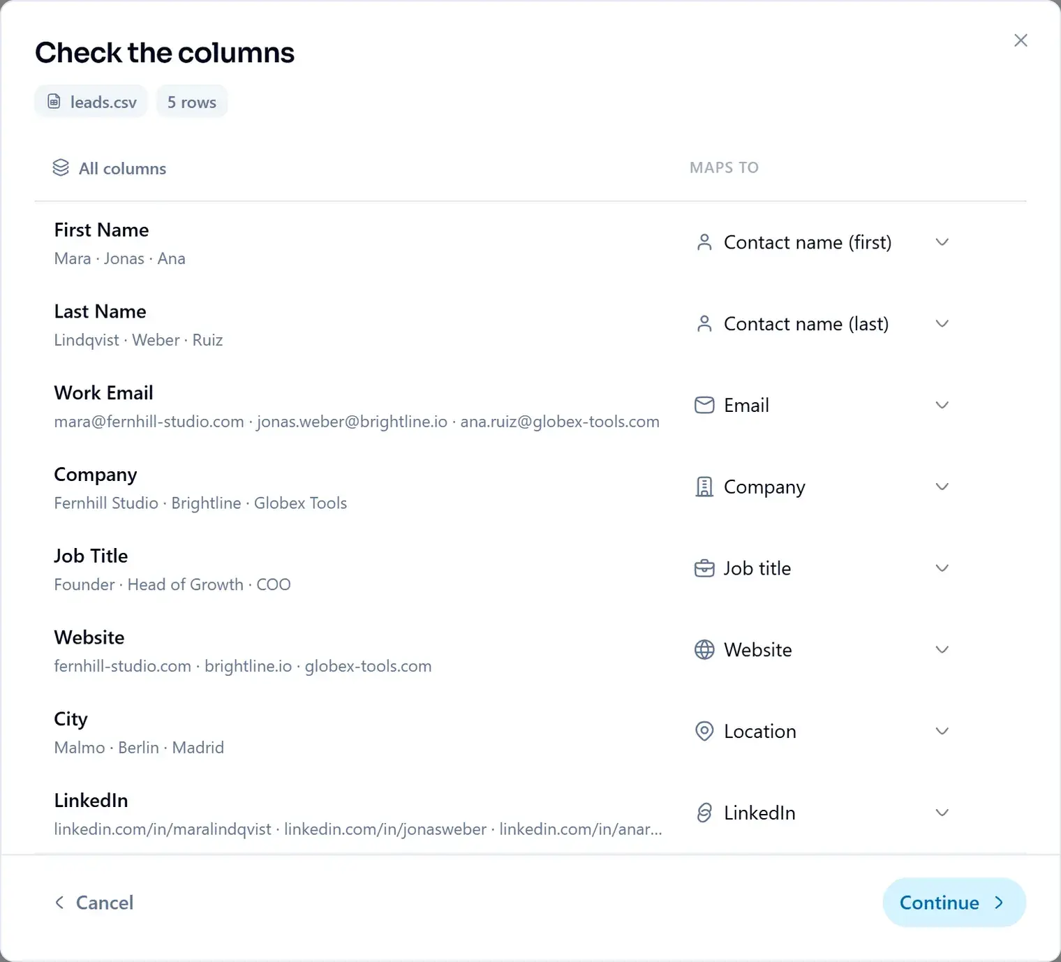 Check the columns: each column in the file, with sample values and the lead field it maps to